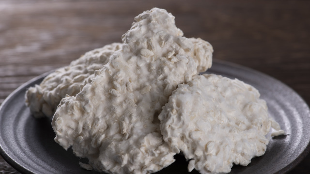 Growing Koji: The Magic Inside Soy Sauce and Tempeh